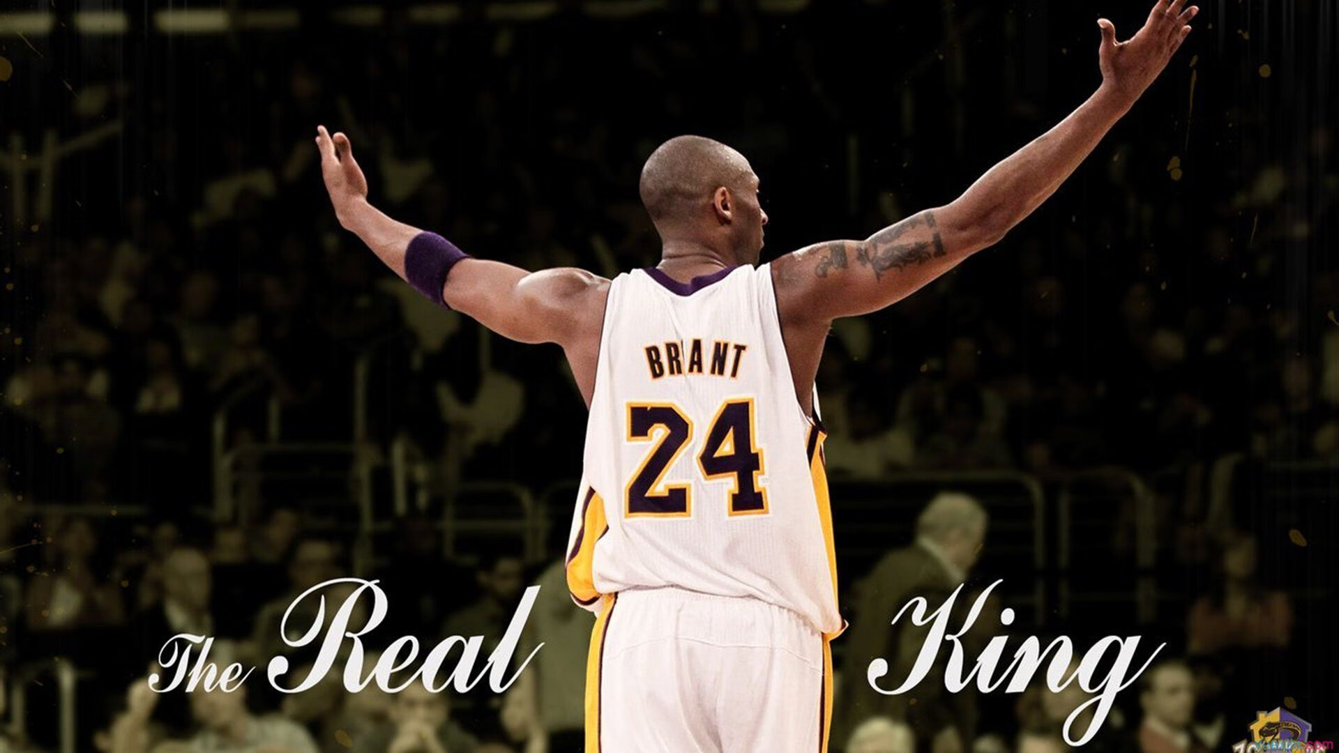 当蓝月坠入阿尔卑斯，哈兰德在非现实时空的抢七封神